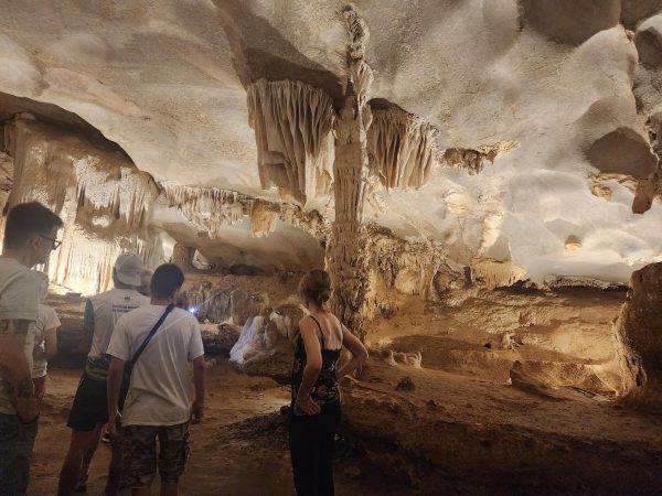Bai Tu Long Bay Renea Cruise: Top Quality, Best Prices - Image 72