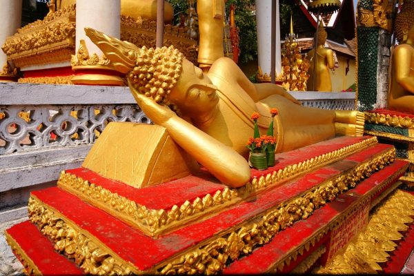 11-Day Laos Highlights Tour: Discover Nature and Culture - Image 3