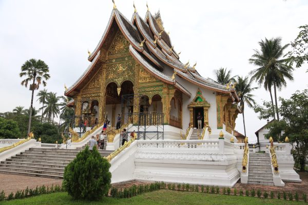 11-Day Laos Highlights Tour: Discover Nature and Culture - Image 7