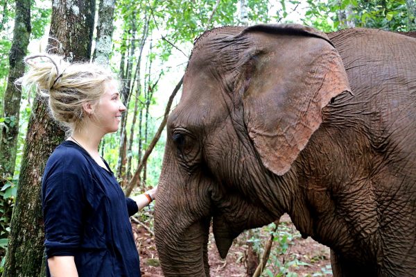 17-Day Cambodia Highlights Tour - Image 3