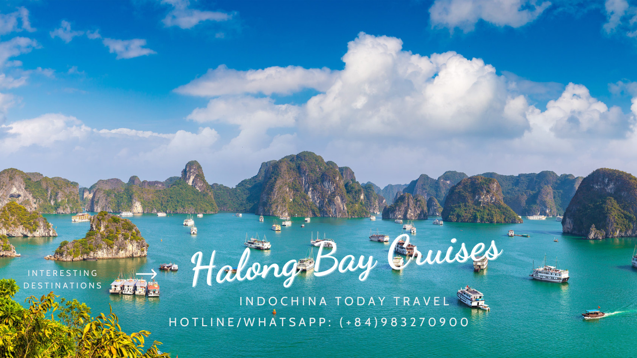 Sena Cruise Cruising to Ha Long Bay and Lan Ha Bay
