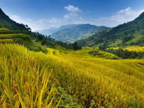 North Vietnam Private Adventure - 14 Days-2