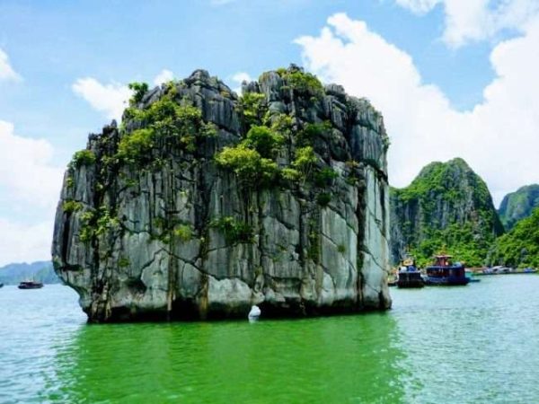 Halong Bay One Day Cruise: Best Caves, Kayaking, Swimming - Image 3