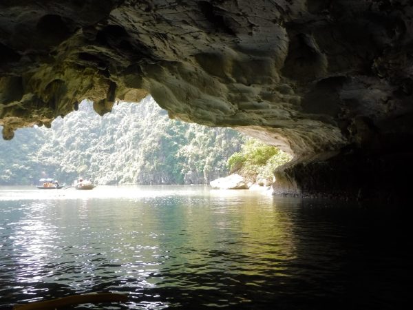 Halong Bay One Day Cruise: Best Caves, Kayaking, Swimming - Image 5