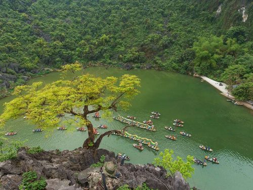 ninh-binh-day-trip-explore-tam-coc-hoa-lu-mua-cave