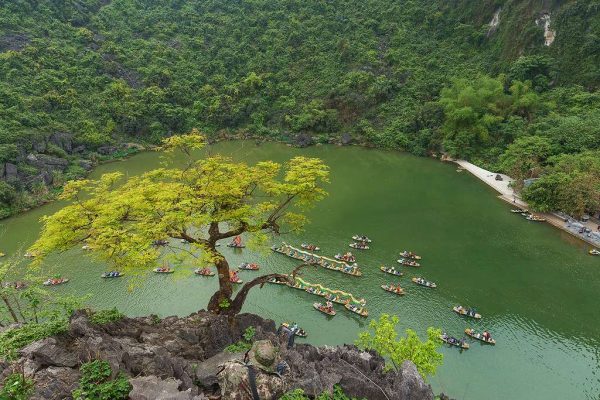 ninh-binh-day-trip-explore-tam-coc-hoa-lu-mua-cave