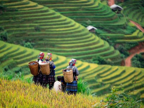 sapa-indochina today travel