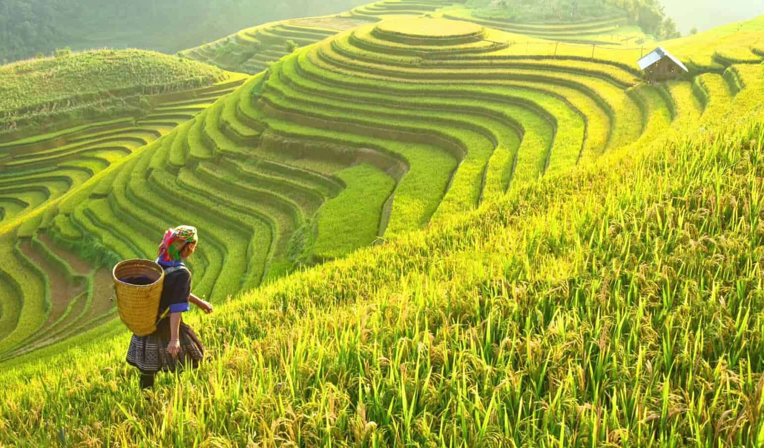 vietnam classic tours