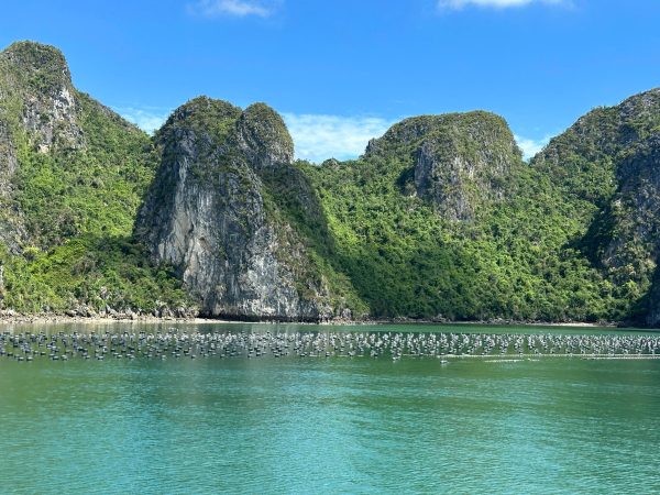Garden Bay Cruise Bai Tu Long Bay – Best Classic Itinerary - Image 35