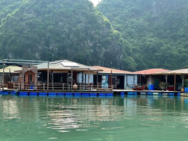 Garden Bay Cruise Bai Tu Long Bay – Best Classic Itinerary - Image 33
