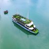 Halong Bay Maia Cruise One Day Trip: Luxury Adventure in Halong Bay