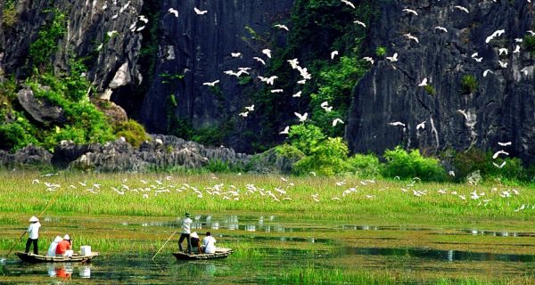 12 Days Vietnam in Styles – Explore Nature & Vietnam Heritage - Image 18