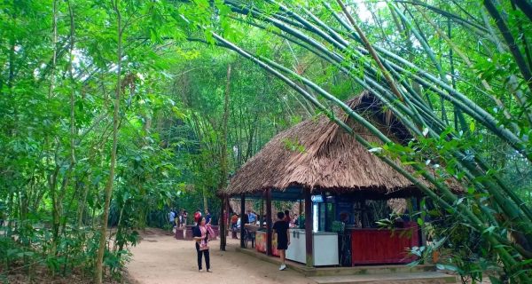Cu Chi Tunnels and Mekong Delta Day Trip Tour