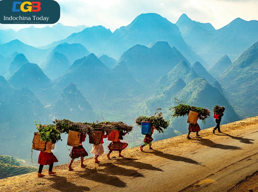 Sample Itinerary for Vietnam Halong Bay Sapa Trekking Tour
