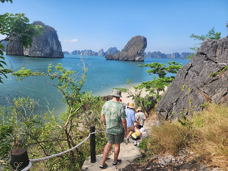 Climbing stone steps through lush greenery on an island in Bai Tu Long Bay