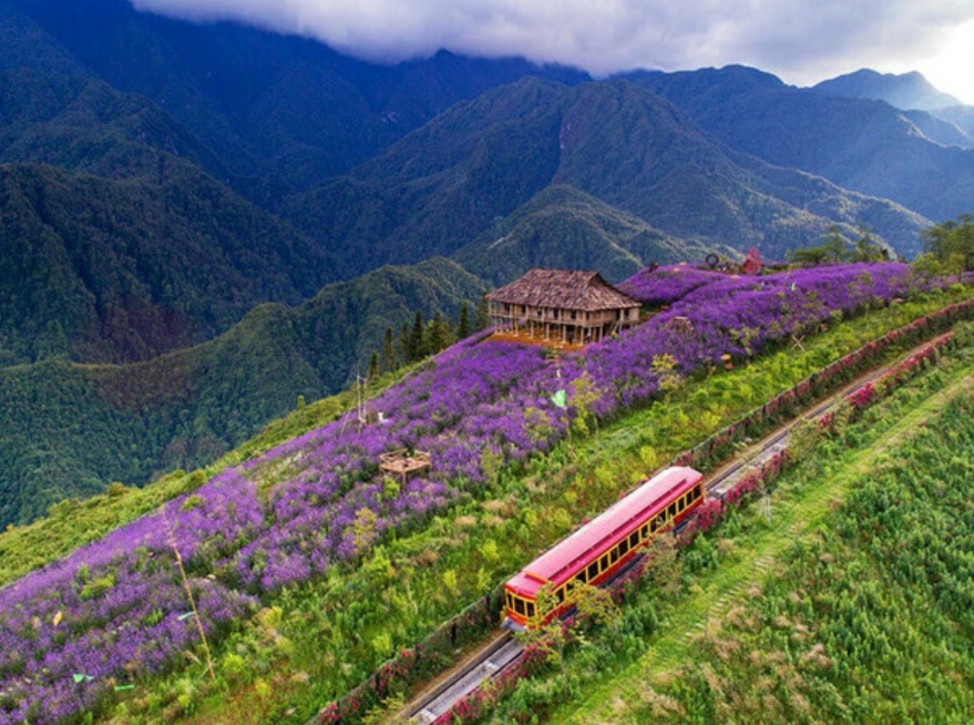 Muong Hoa Valley