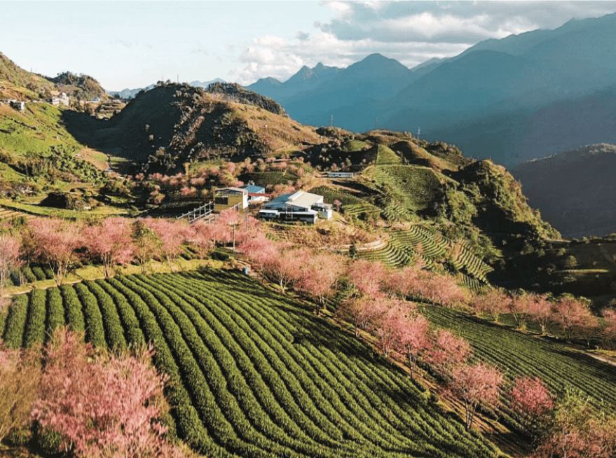best honeymoon destinations in Vietnam