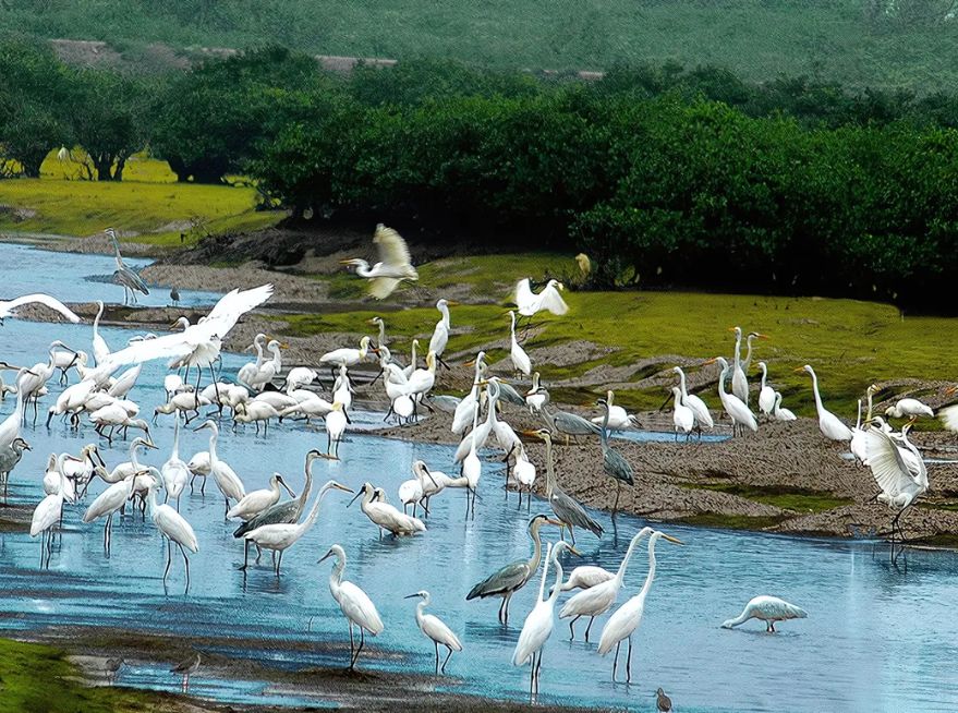 eco-friendly Vietnam tour package