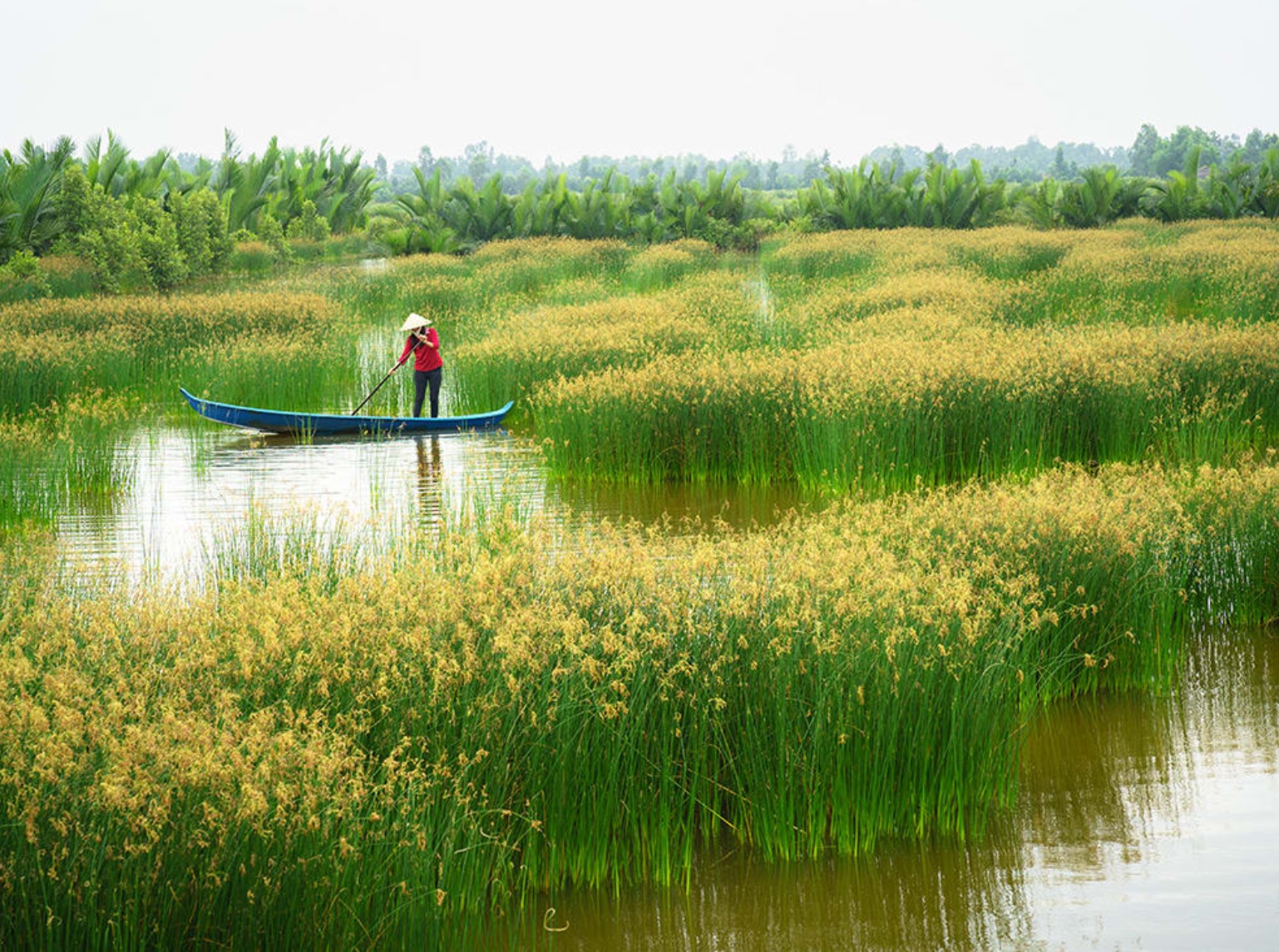 Mekong Delta – Life on the River