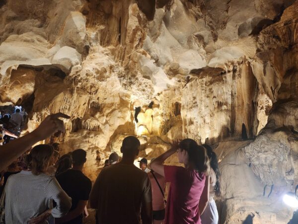 3-Day Bai Tu Long Bay Cruise – Deluxe Experience - Image 35
