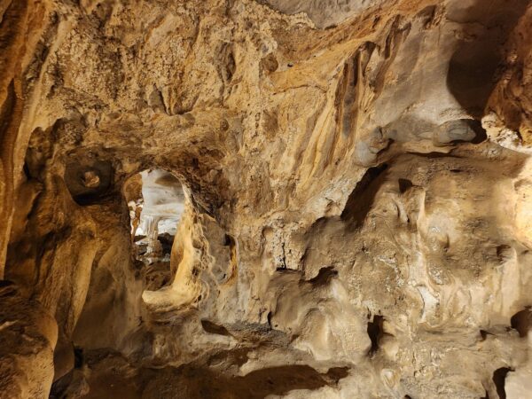 3-Day Bai Tu Long Bay Cruise – Deluxe Experience - Image 40