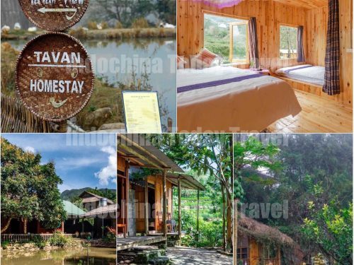 Sapa trekking tour 3 days 2 nights stay at local homestay in Ta Van village